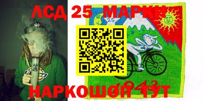 ALPHA-PVP Новозыбков