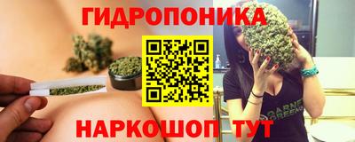 гидра Новодвинск