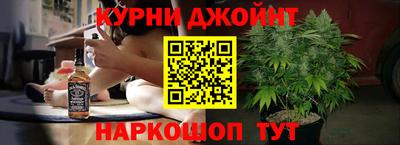 гидра Новодвинск