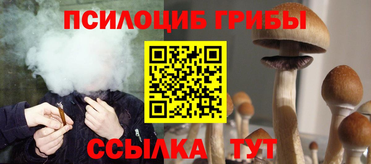Псилоцибиновые грибы прущие грибы  Вход с VPN  Советск  Псилоцибиновые грибы Psilocybine cubensis 