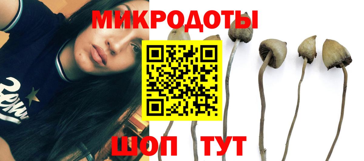 Галлюциногенные грибы мицелий Советск